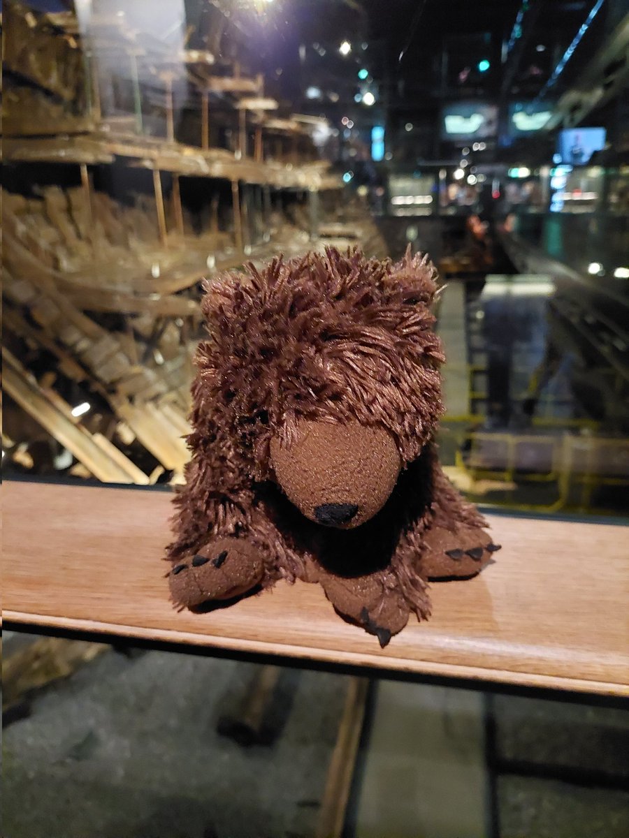 AdventuresOfBear tweet media