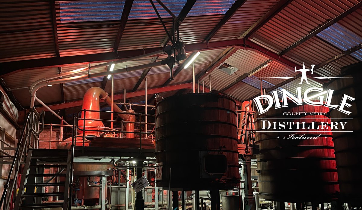 More Drams Less Drama (@moredrams) on Twitter photo End of April, <a href="/Coldorak/">Coldorak 🥃</a> spent a week at <a href="/DingleWhiskey/">Dingle Distillery</a> as a 'distillery worker', trying to learn as much as possible and see what you don't see in tours. Read his recap on More Drams Less Drama: moredramslessdrama.com/2023/06/02/a-w… End of April, <a href="/Coldorak/">Coldorak 🥃</a> spent a week at <a href="/DingleWhiskey/">Dingle Distillery</a> as a 'distillery worker', trying to learn as much as possible and see what you don't see in tours. Read his recap on More Drams Less Drama: moredramslessdrama.com/2023/06/02/a-w…