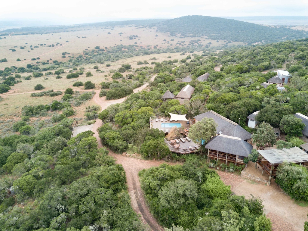 Amakhala Reserve tweet media