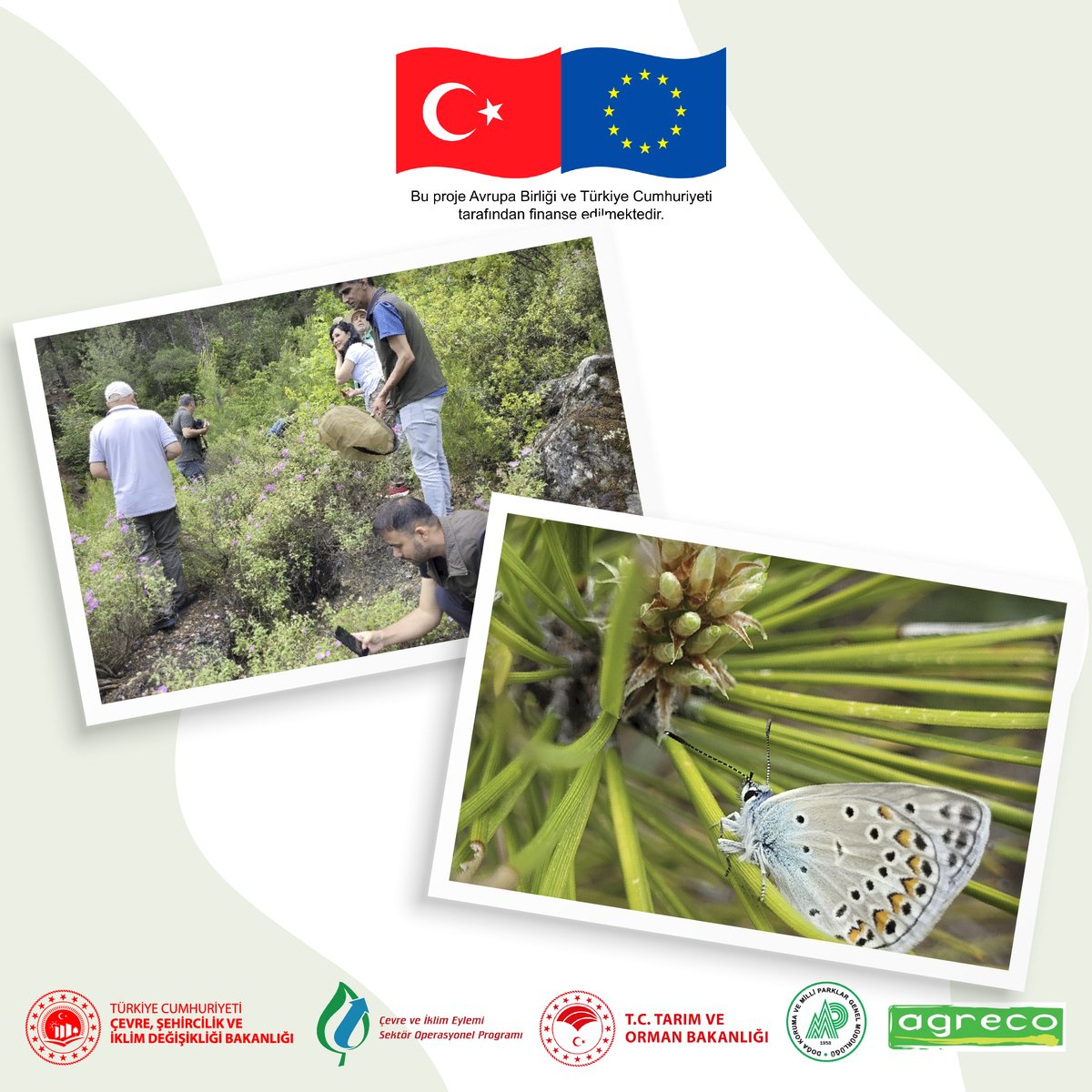 Tehlikedeki Türler proje dahilinde çalıştaylarımızdan “Çokgözlü Hatay Mavisi" izleme çalıştayı ve arazi gözlemlerini 31 Mayıs - 1 Haziran tarihleri arasında Hatay'da gerçekleştirdik.

Yakın gelecekte tür için eylem planı uygulamaya konulacak.

Gelecek için her adım çok kıymetli..