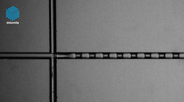 dolomite_micro's tweet photo. Explore the power of PLGA particles! 🔬  

From targeted treatments to controlled release, PLGA opens doors for enhanced therapies, enabling precise drug delivery and reaching specific cells or tissues for maximum effectiveness. 

💊 Learn more: https://t.co/SzOjPEhtQU https://t.co/0PTlUdUW8M