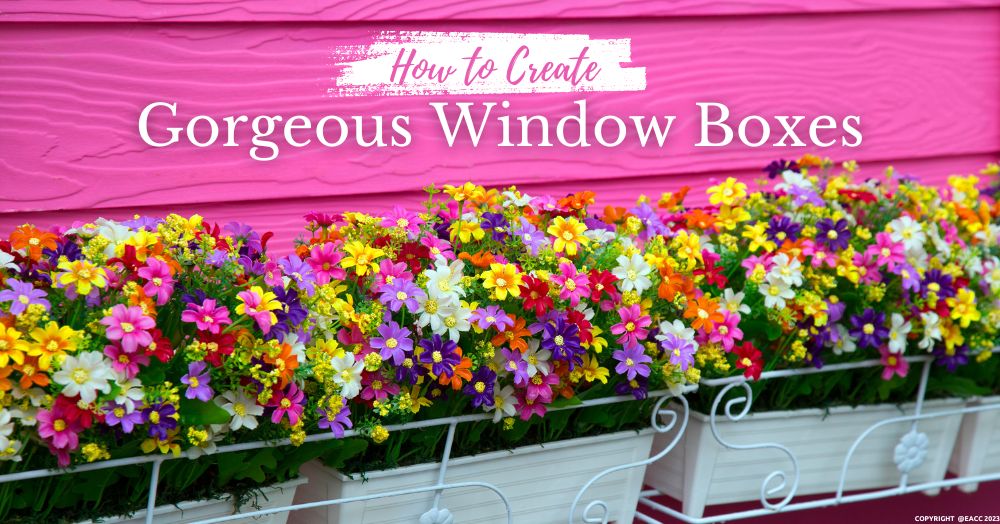 Transform your windowsill into a vibrant display of colors and textures. Simple tips for creating eye-catching window boxes.

leamingtonspapropertyblog.com/how-to-create-…

#WindowBoxInspiration #GorgeousGardening #WindowBoxIdeas #PlantDecor