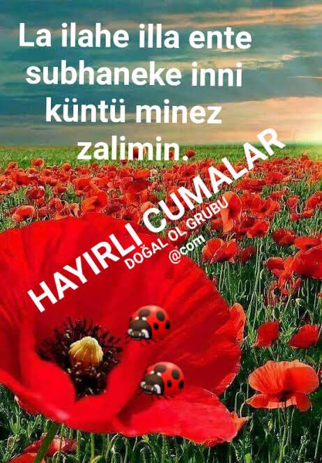 @TrknGc03 @1071selindmr @LARMINA__ @Fatma14533418 @_De_RuNi_La_l_u @muratguler07 @_____KlLlC_____ @0_srpll @Canmercan0244 @uMud1234__ @AytenErtem3 @abanDALI2 @61_hatos_ @53R53R53 @yolcuyolnereye @Sahin_Abdullah_ @19beyazkartal03 @Ayse__Sultan @zlemkizilta22 @abdulkadiradgz3 @Ayintepliveli @nuray_ula @Adnan__45 @_______duygu @Nazendemm__ La İlahe İlla Ente Sübhaneke İnni Küntü Minezzalimin

👆👆👆
Sende bu tweti alıntı'la 
Bir kişinin okumasına
vesile olursun🤲
🇹🇷
@akkadinhaber
@Nura50442766
@4141Pirems
@millihesap95
@mutafa3675
@havucummm
@HafizeY33633183
@suleymanahlatci
@TayfurTe
@ManisalNc
@Aliii021021