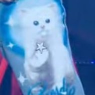 DID LEE KNOW'S STYLIST CENSOR THE CAT'S MIDDLE FINGER WITH A SILVER STAR LMAOOO