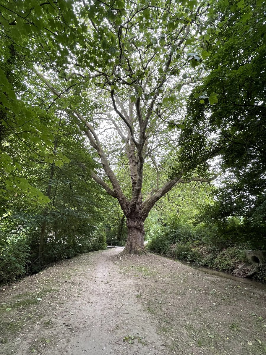 My blipfoto today #livinginthecountryside France