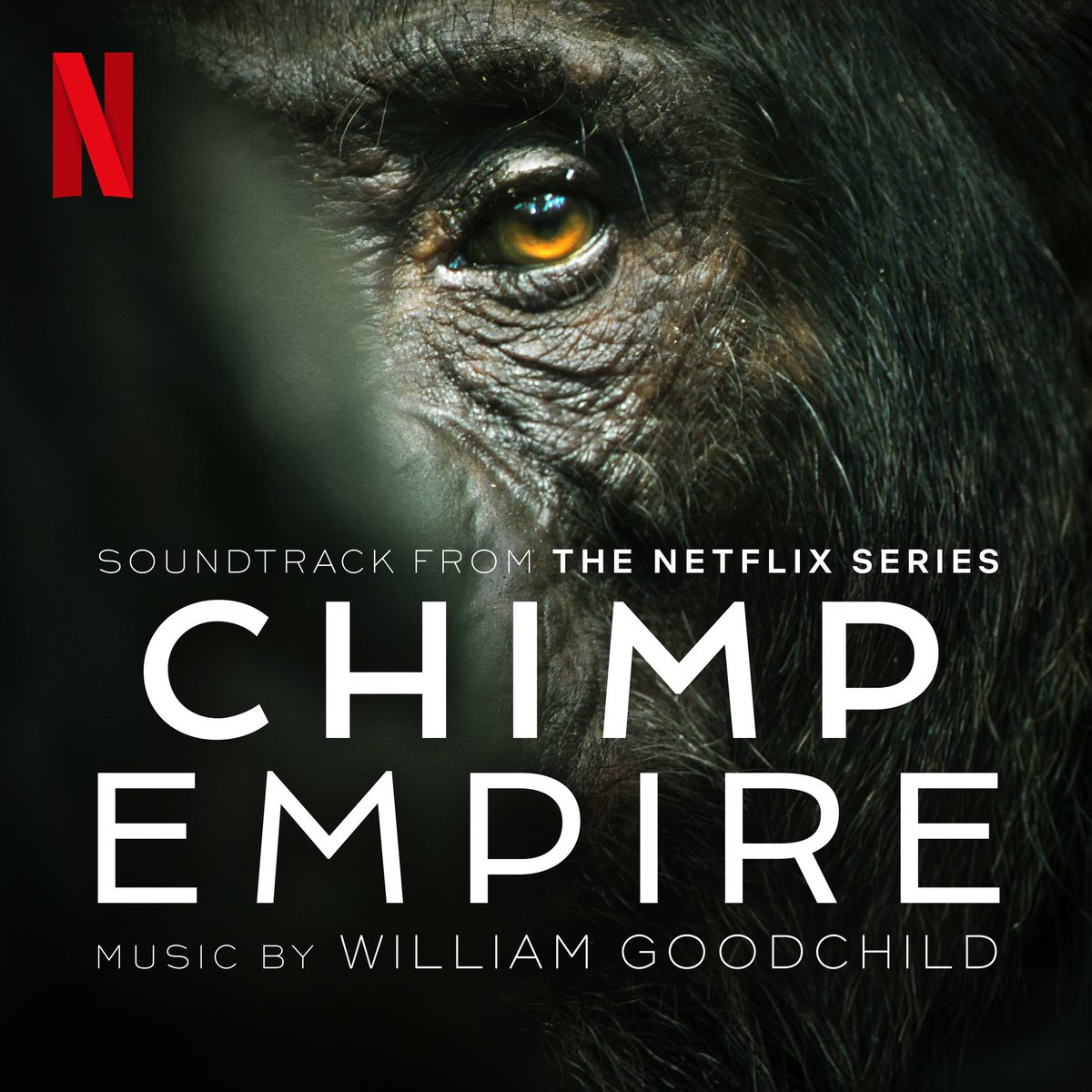 To live in the jungle you must fight to survive. Chimp Empire soundtrack out today netflixmusic.ffm.to/chimpempire @MahershalaAli @netflix #soundtrack