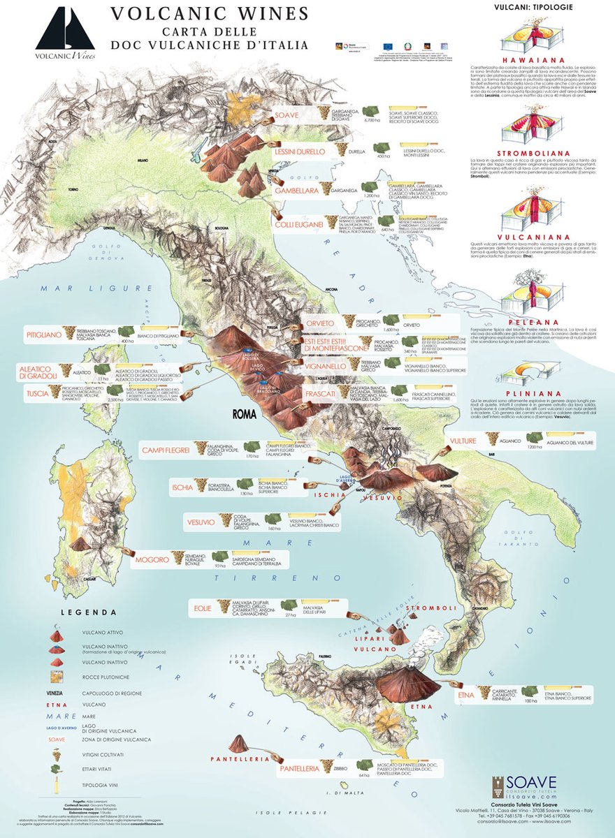 #volcanicwine #etnavolcano #montirossietnawines #etnawine #italianwine #sicily #italy #winetasting #winelover #winetourism