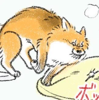 @SAKAGUCHIMAYA 寝床を整えてるというより親の敵をとってる顔なんよU0001fae0 