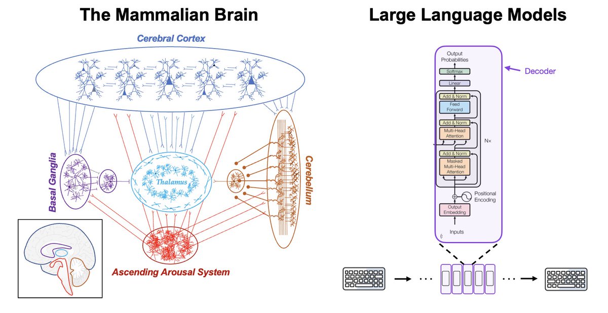 jaaanaru's tweet photo. The feasibility of artificial consciousness through the lens of biology

We raise three arguments (neural complexity, Umwelt &amp; 'skin in the game') to suggest that AI systems are not conscious and will not be in the near future.

w @mattlark @jmacshine 

https://t.co/xzw0XL80S7 https://t.co/c188Lv7hPt