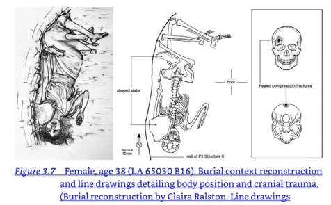 Alice Evans tweet media