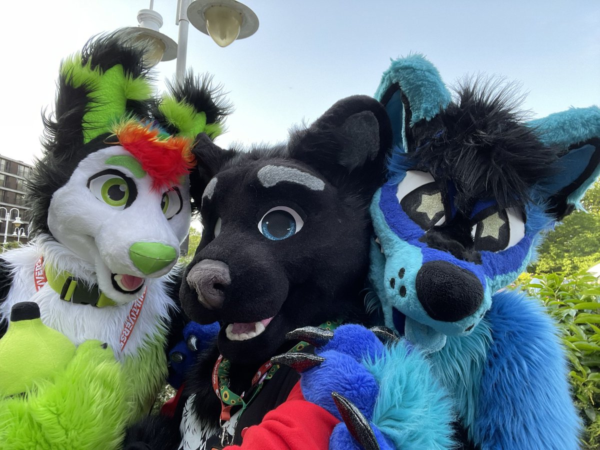 Wishing everyone a happy #FursuitFriday after #CFz2023 

💚 <a href="/Felixthewolfy/">🐺Felix the wolf🐾</a> 
💙 <a href="/BlueBubbusky/">Starry Blue Butt</a>