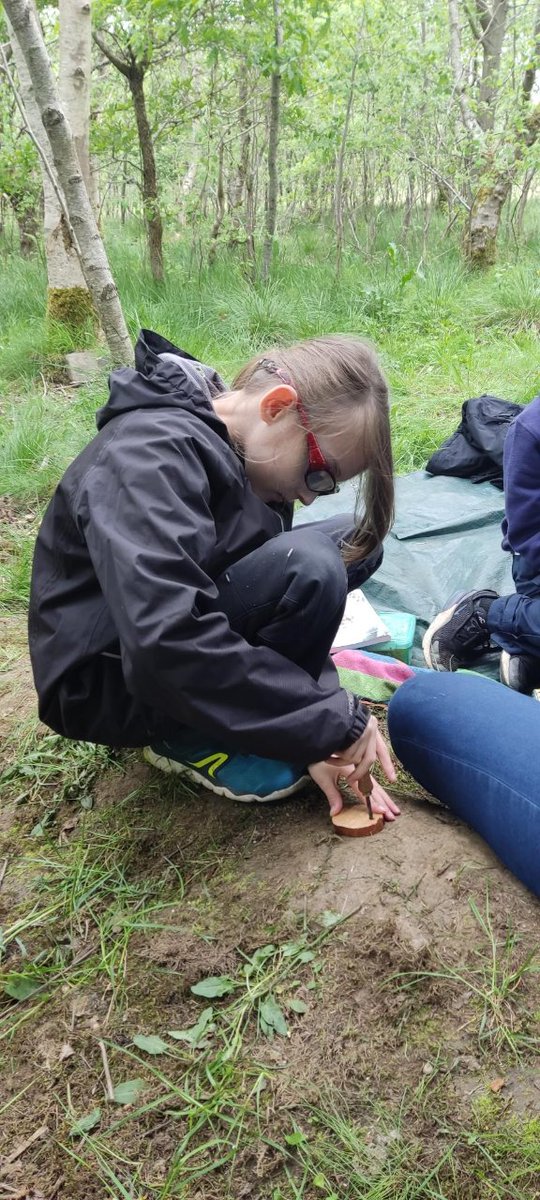 NlandRangers's tweet photo. Busy day yesterday at @NlandNP #Forest #School #Holiday #Club, #bug hunting, #sawing, #exploring and #creating.  These sessions will run again every Thursday in the #summer #school #holiays at #Walltown. https://t.co/QoMKItKbAb