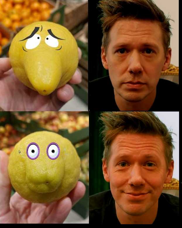 DodoTheBird 🦤🌿🌈🚲 tweet media