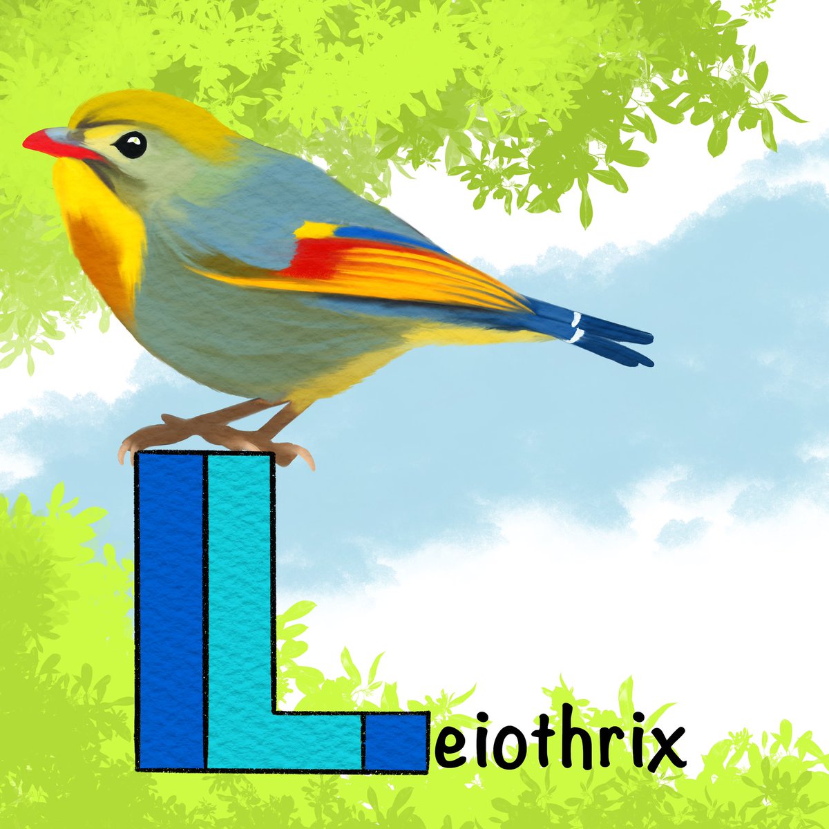 Day 12: Leiothrix of India
Illustration: Red-billed Leiothrix 
#bird #BirdTwitter #art #illustration #birdsofindia