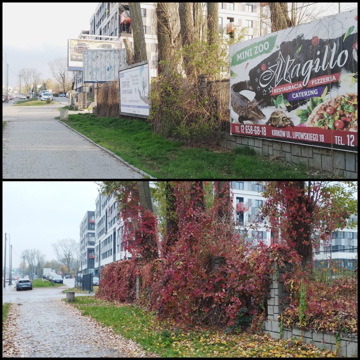 bajej's tweet image. Mija prawie rok od wprowadzenia w Krakowie ustawy krajobrazowej w całym mieście, która uregulowała reklamy outdoorowe
Jako mieszkaniec powiem jedno - rewelacja, miejscami ciężko w ogóle ogarnąć w jakim syfie żyliśmy. 

Zdjęcia - ŁADny Kraków (jest galeria) facebook.com/ladnykrakow