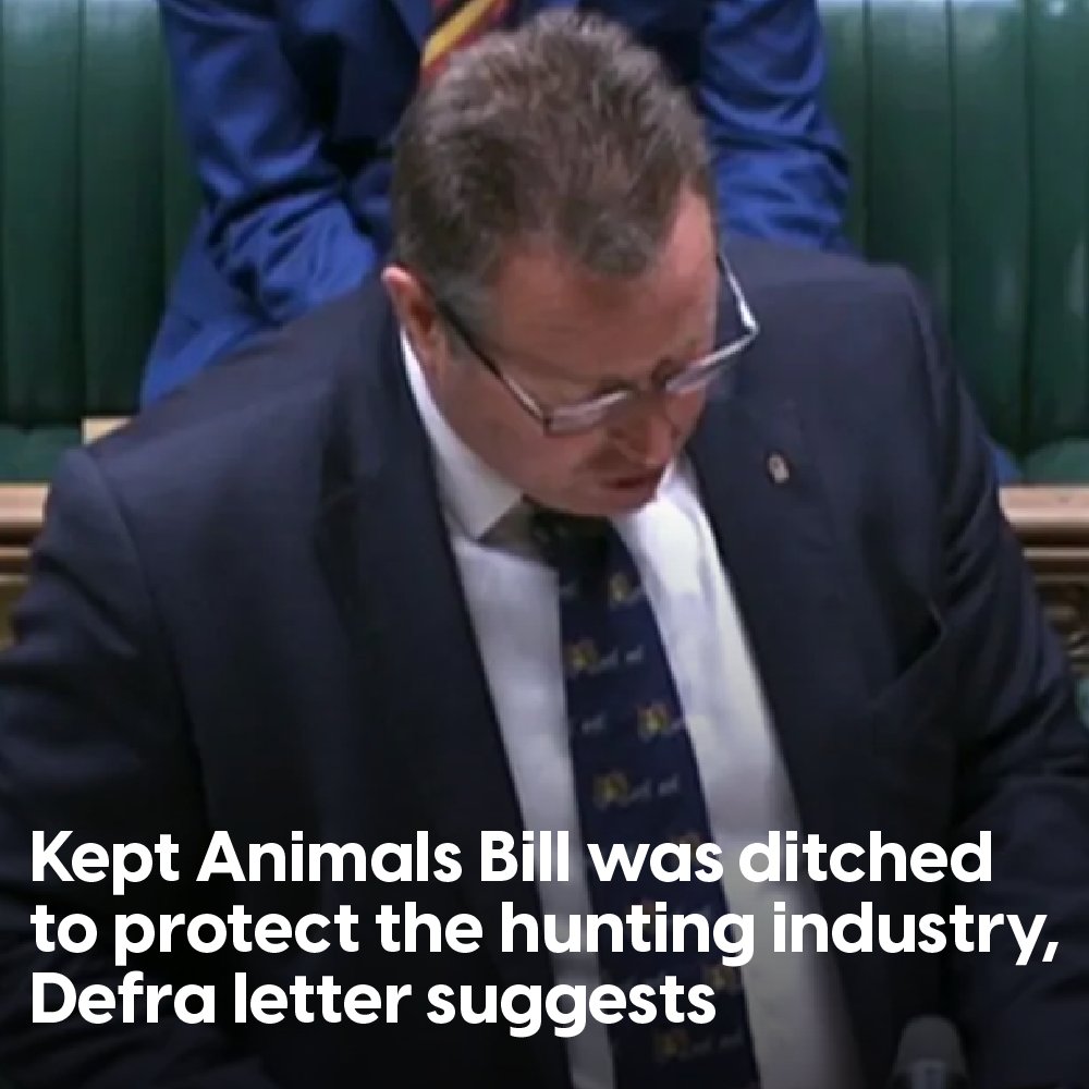 ProtectTheWild_'s tweet photo. If you missed this during the week - The government has dropped the Kept Animals Bill, which promised to alleviate some of the worst excesses of animal cruelty all to protect its mates in the hunting industry.

Read more here👇
https://t.co/U18gq92TXy https://t.co/LkDo1dvxkY