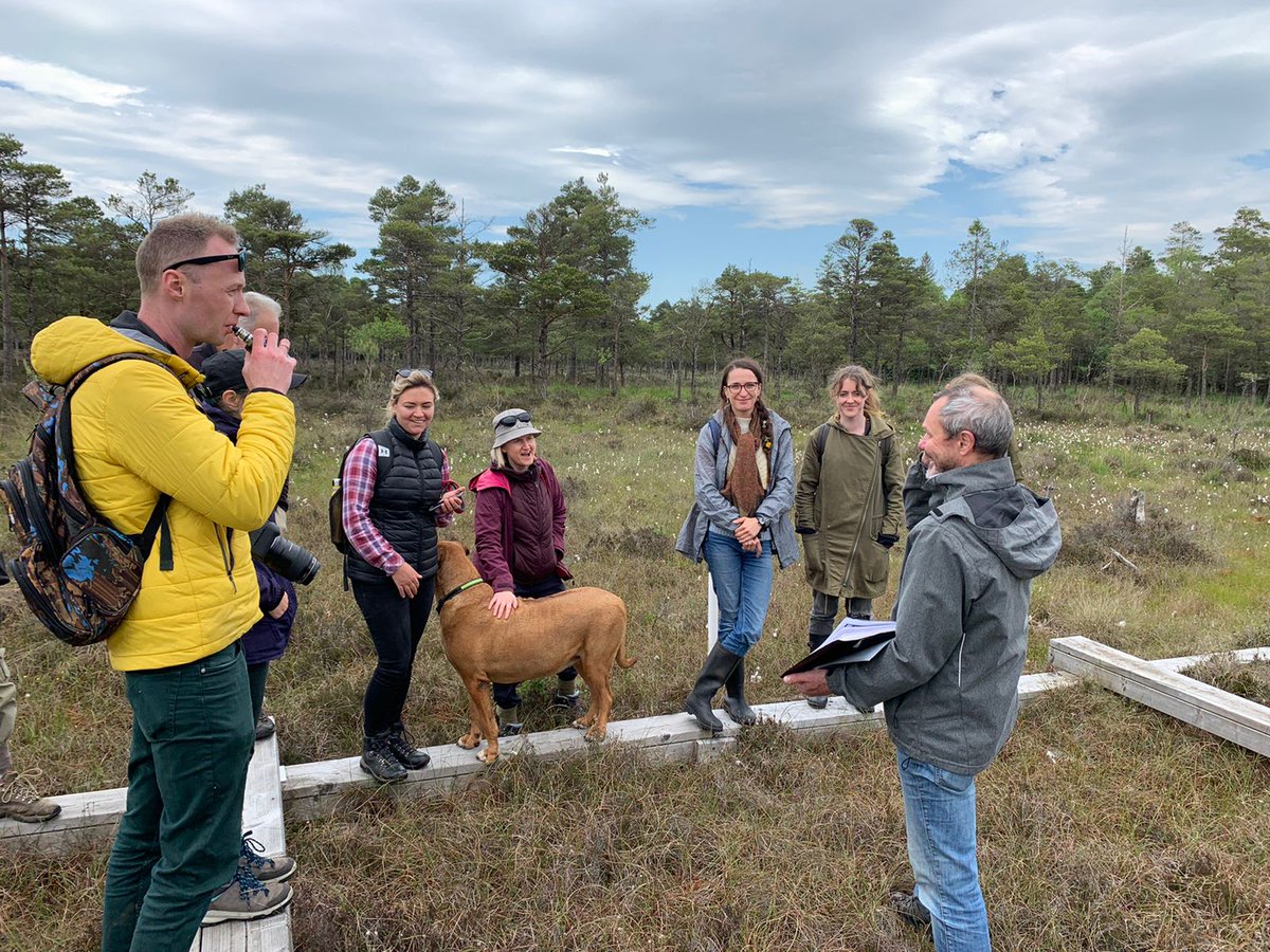 Irish peat ECR tweet media