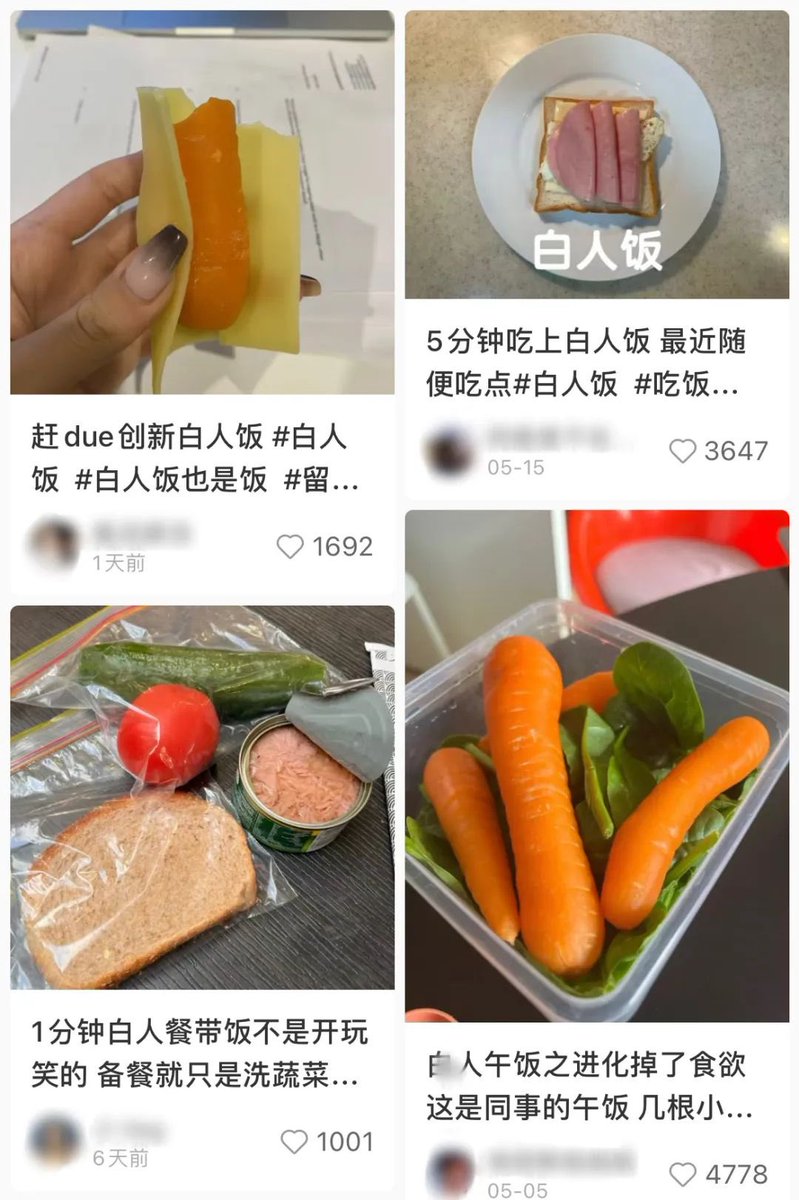 I found out today that on Chinese social media, there’s a trending hashtag that translates to white people meals lol

“I was so tired I ate a white people meal today”

One of hashtags is also “white people meals are still meals”