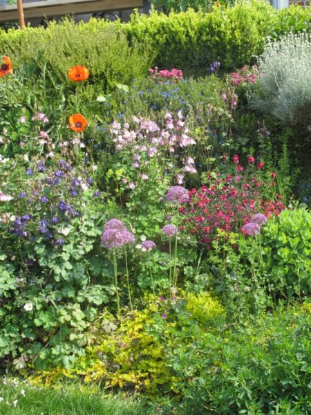 BlumenHenry 🌺 tweet media