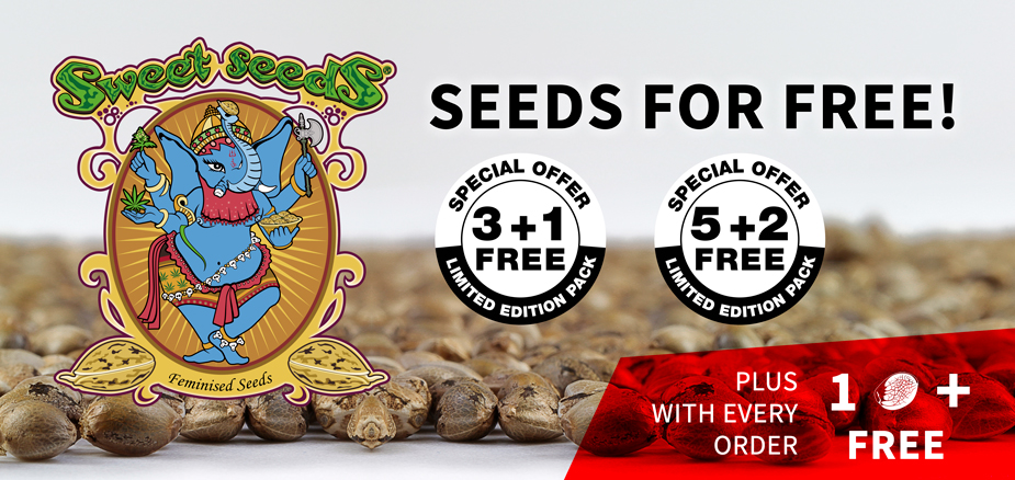 Now taking debit and credit card payments from all over the world - mailchi.mp/99e2667d0eac/m…