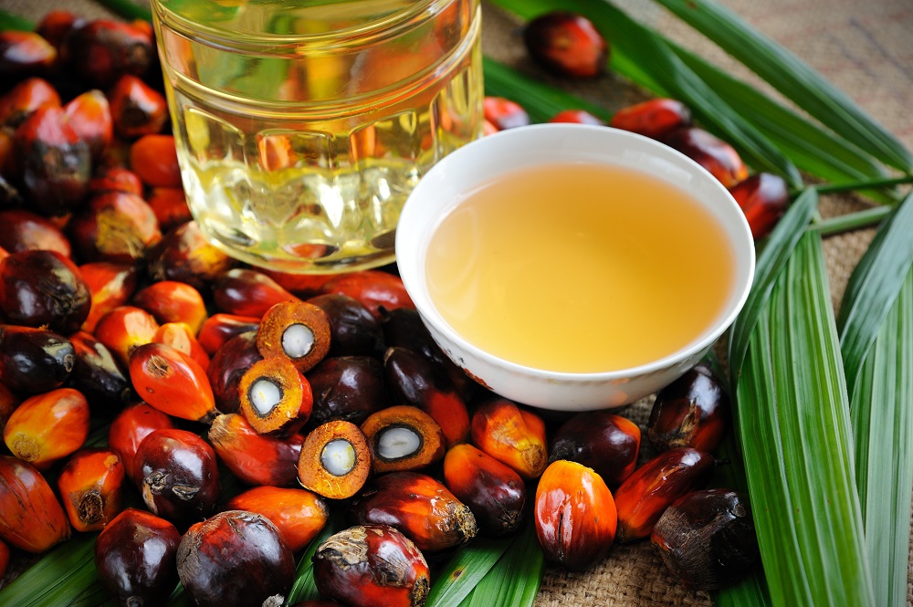 Palm oil market were at MYR 3,360 per tonne, recovering slightly from the two-and-a-half-year low of MYR 3,200 touched on May 31st as the key biodiesel feedstock tracked the slight recovery for crude oil prices.
#AgriculturalCommodities #elnino #market

btrams.com/2023/06/02/pal…
