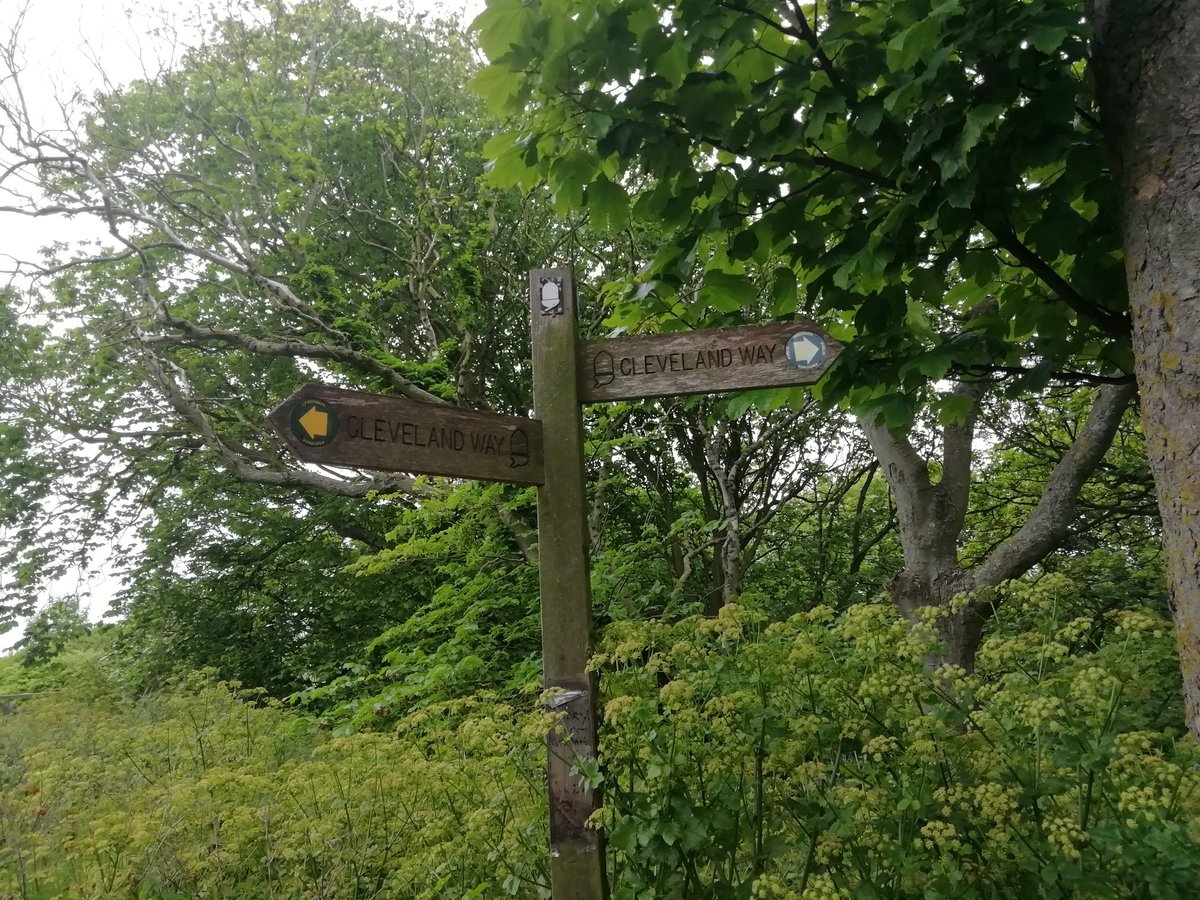 Cleveland Way fingerpost near Scarborough, taken on a cold June morning.
#fingerpostfriday