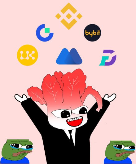 Kimchichi tweet media