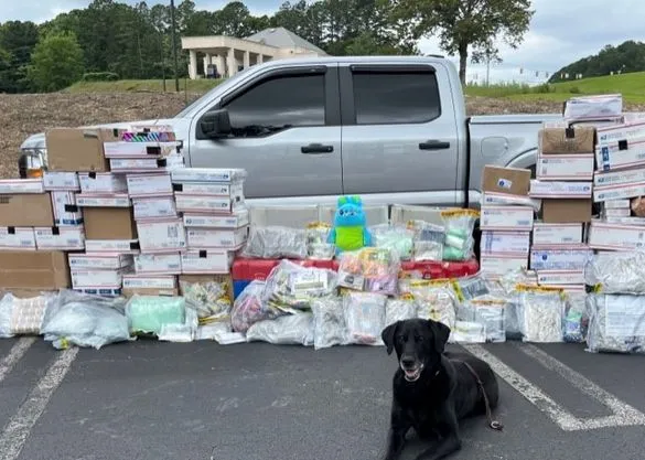 Multiple Alabama agencies, USPIS find over 100 pounds of ‘contraband’ in packages
👊Good boys K9 Dexter and K9 Easy have been busy lately
whnt.com/news/alabama-n…
#ThinBlueLine #K9 #dog #police #WaronDrugs #dogsoftwitter #OPLive #OnPatrolLiveMultiple