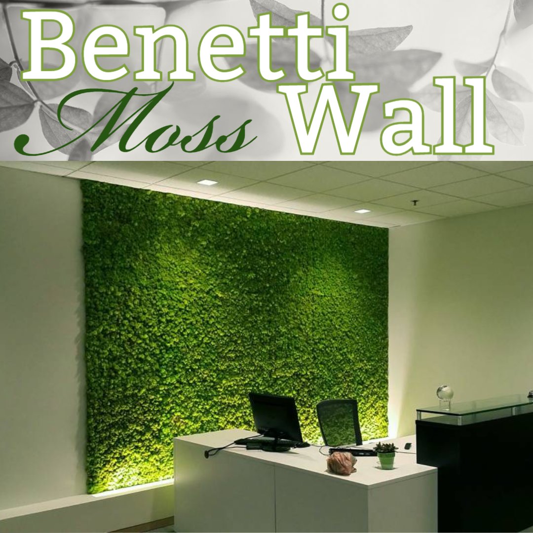 Moss Wall Design.
Our moss walls are Class A fire-rated and require no water or maintenance, making them perfect for any interior space. From artistic vertical gardens to moss logos and moss wall art, our moss designs come in a variety of styles and colors