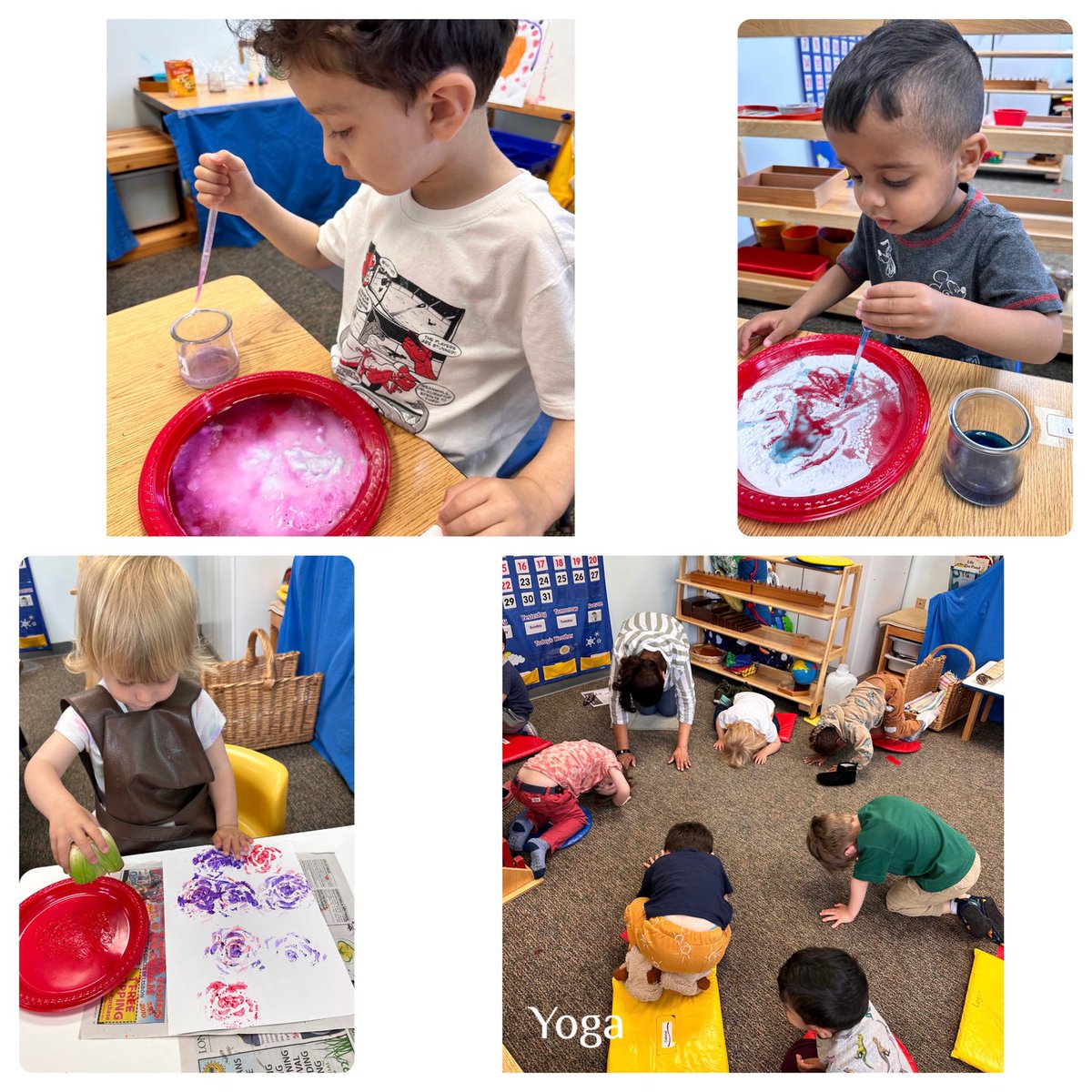 Paint Branch Montessori School 

Join our School Community as we celebrate the end of the School Year and the start of our Summer Program on June 12th.

Very, very, limited enrollments available for 2-6 year old students. 
Call us today: 301-434-0373