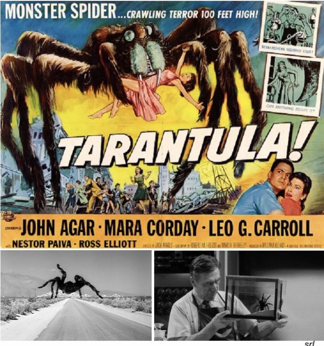 2:55pm TODAY on @Legend__Channel 

The 1955 #SciFi #Horror film🎥 “Tarantula” directed by #JackArnold from a screenplay by #RobertMFresco & #MartinBerkeley

Inspired by #RobertMFresco’s #ScienceFictionTheatre  teleplay📺 “No Food for Thought'

🌟#JohnAgar #MaraCorday #LeoGCarroll