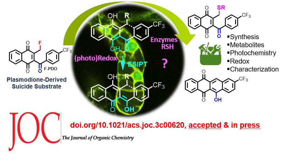 Discovered by serendipity from F-PDO-treated BY-2 cells, the intense visible emission is due to an ESIPT-induced fluorescence generated from F-PDO photoreduction & thiol alkylation. F-PDO thus acts as a novel(pro)-fluorescent probe for monitoring redox processes in living cells.