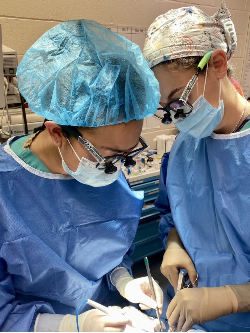 SarahKaslow's tweet photo. happy last day in the @GVNlab lab to one of the OG 🫁 ladies, @PanpanChen_MD. you are a truly amazing partner. there is nobody i’d rather troubleshoot a circuit or shoot an angio with. can’t wait to watch your career in vascular surgery skyrocket. https://t.co/z0jVc11mkX
