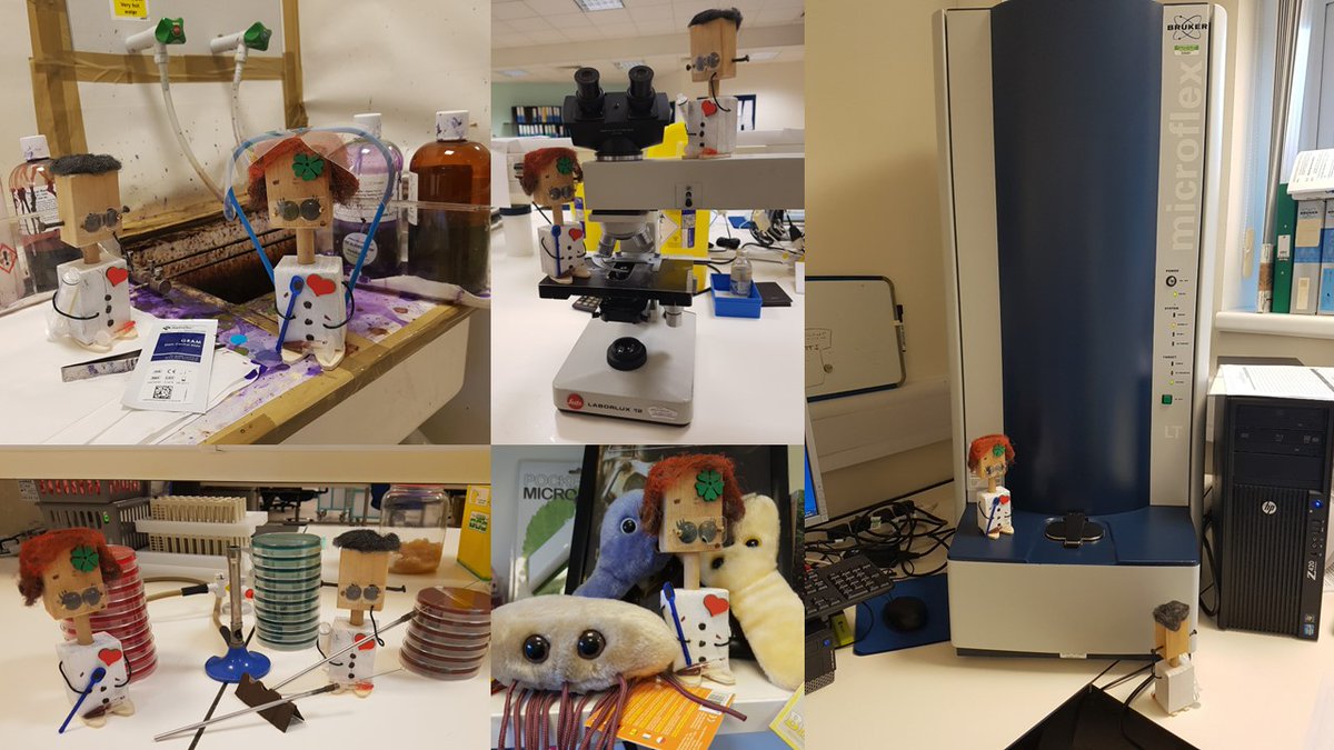 @IBMScience the BMSBots, BickerBot and ByerBot, are working on the Blood Culture bench today. Gram stains, culture and sensitivities and same day ID's on MALDI-ToF to find all of the bugs, particularly e.coli. Guiding the management of patients with sepsis #AtTheHeartOfHealthcare