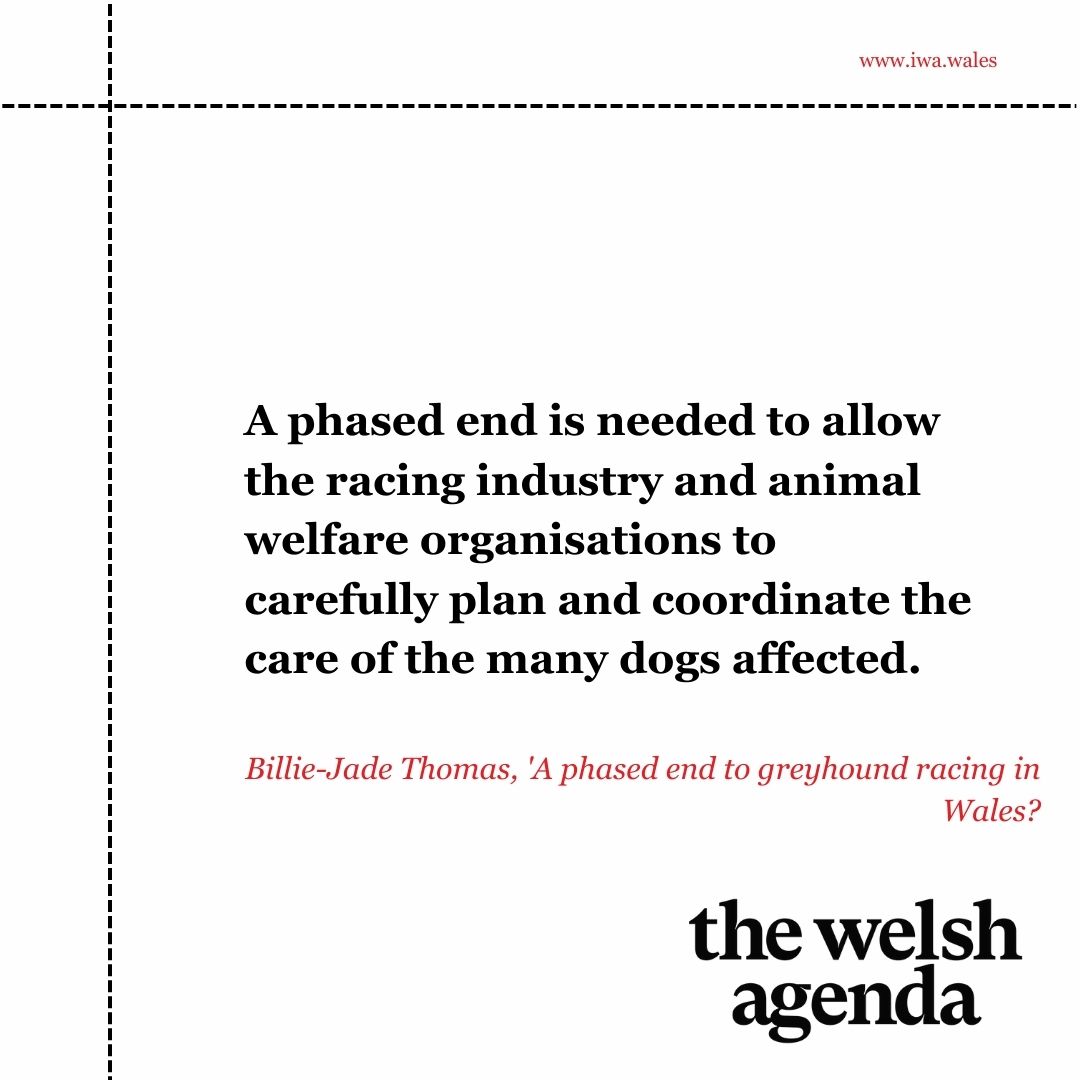 'A phased end is needed...'

Speaking on behalf of the #CutTheChase campaign,  Billie-Jade Thomas explains how greyhound racing has found itself at the forefront of the political agenda in Wales

#thewelshagenda

iwa.wales/agenda/2023/06…