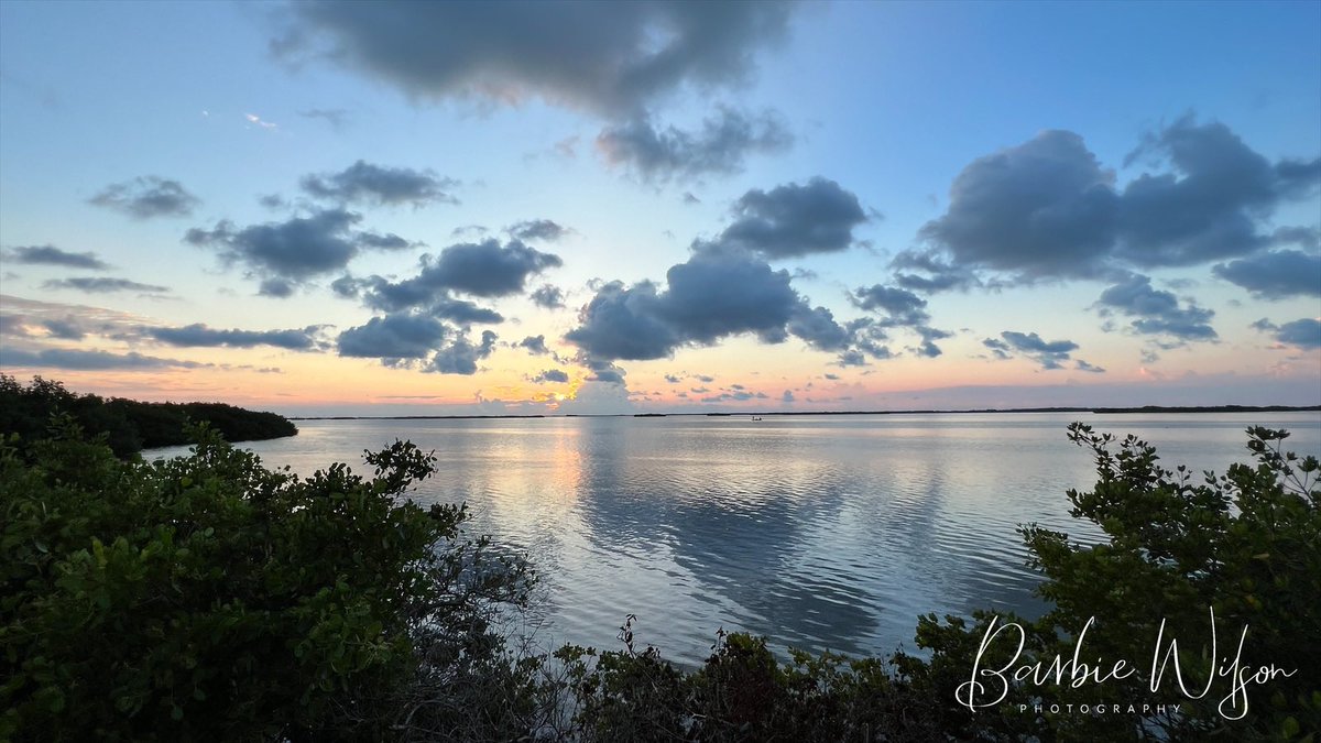 Welcome to the weekend!  Have a great Friday! Gm from the #conchrepublic #keywest #sunrise   #RED