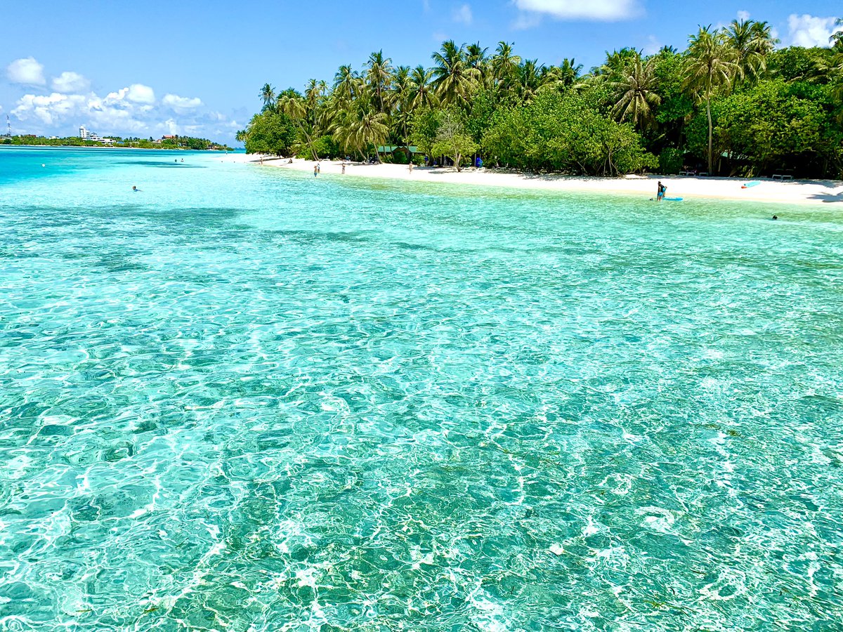 Mesmerizing Maldives ❤️