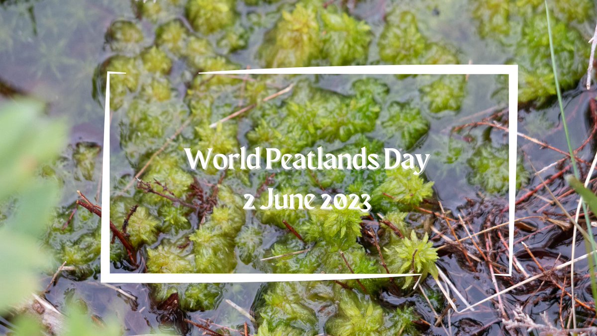 Celebrating all things boggy today! 💚 #worldpeatlandsday