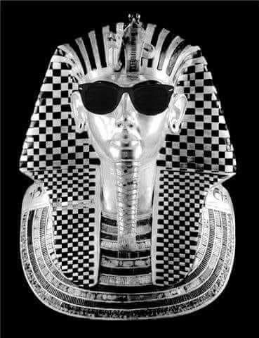 Pelton Arms tweet media