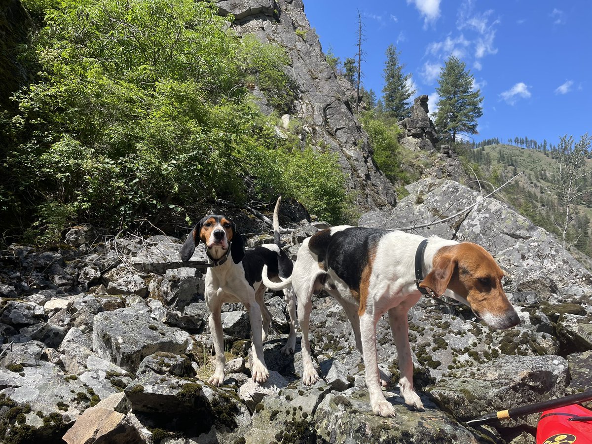 Kendra Kaiser tweet media