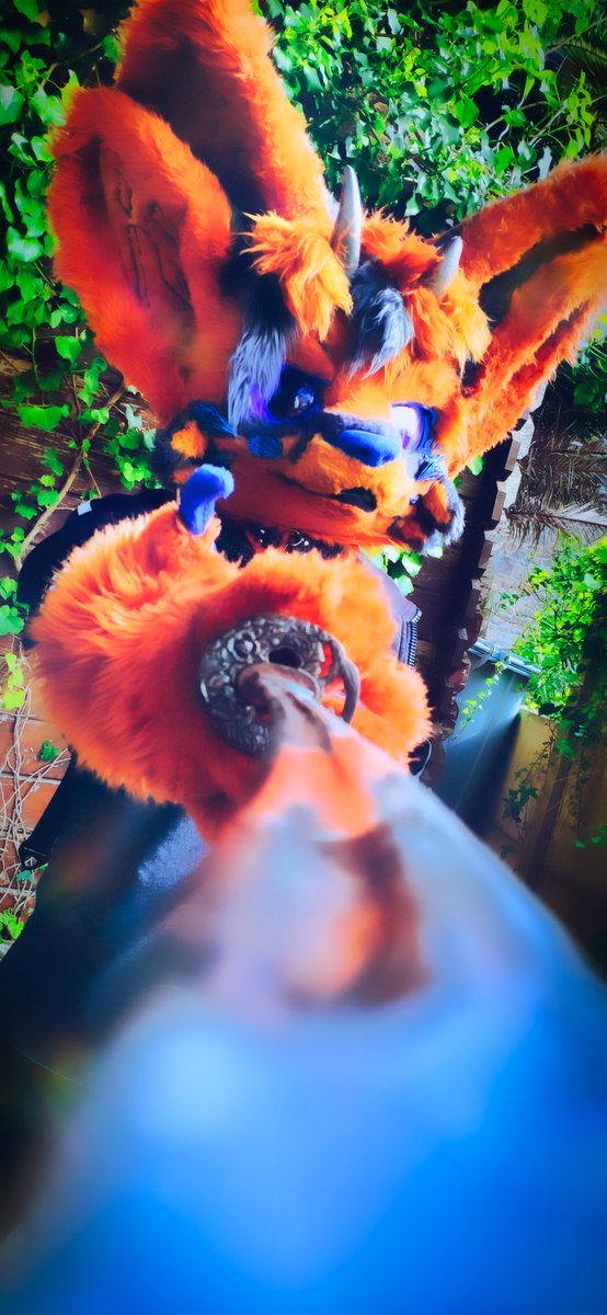 Happy  #FursuitFriday 

📸<a href="/Nayru_fur/">nayru</a>
 #furry #fursuit #furryfandom #fur