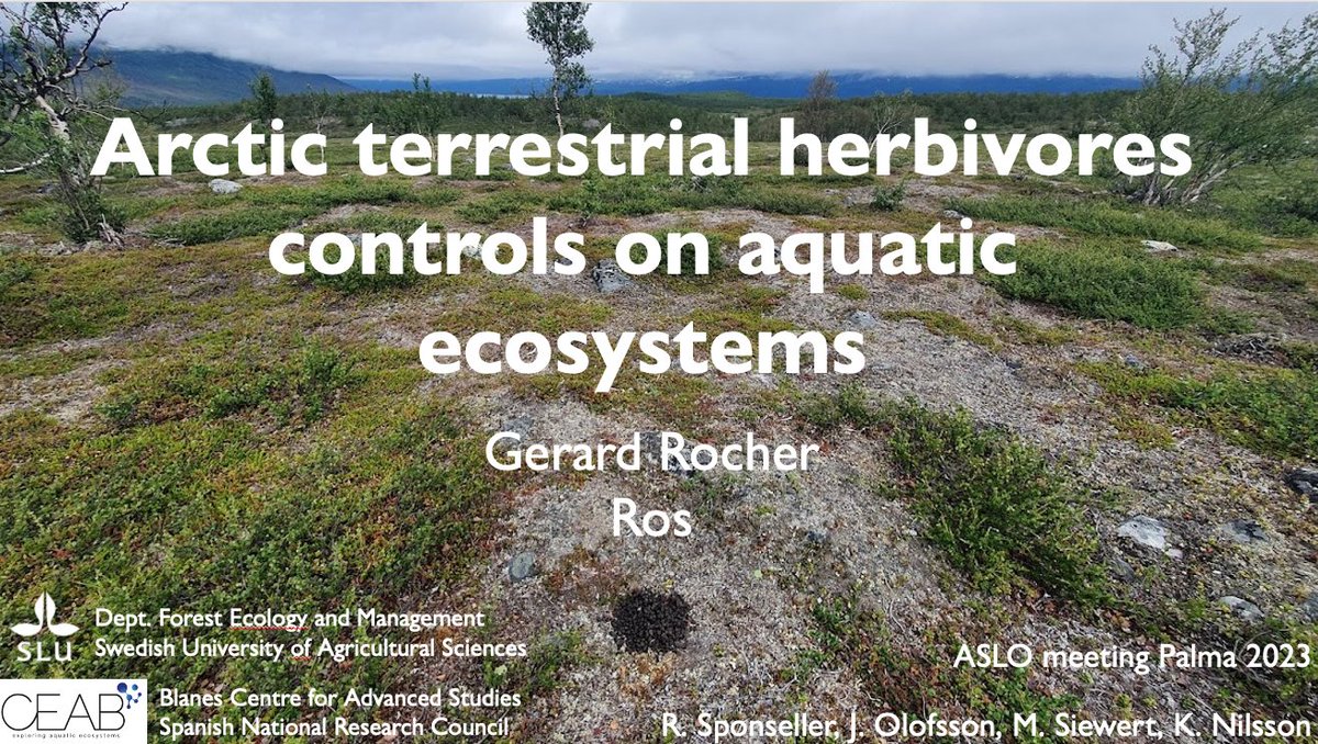 Talk ready for #ASLO23 in Palma! Want to hear about what reindeers and lemmings can do to aquatic biogeochemistry? Come to S11 on Thursday at 17:00. Spoiler alert: A *shitload* of things