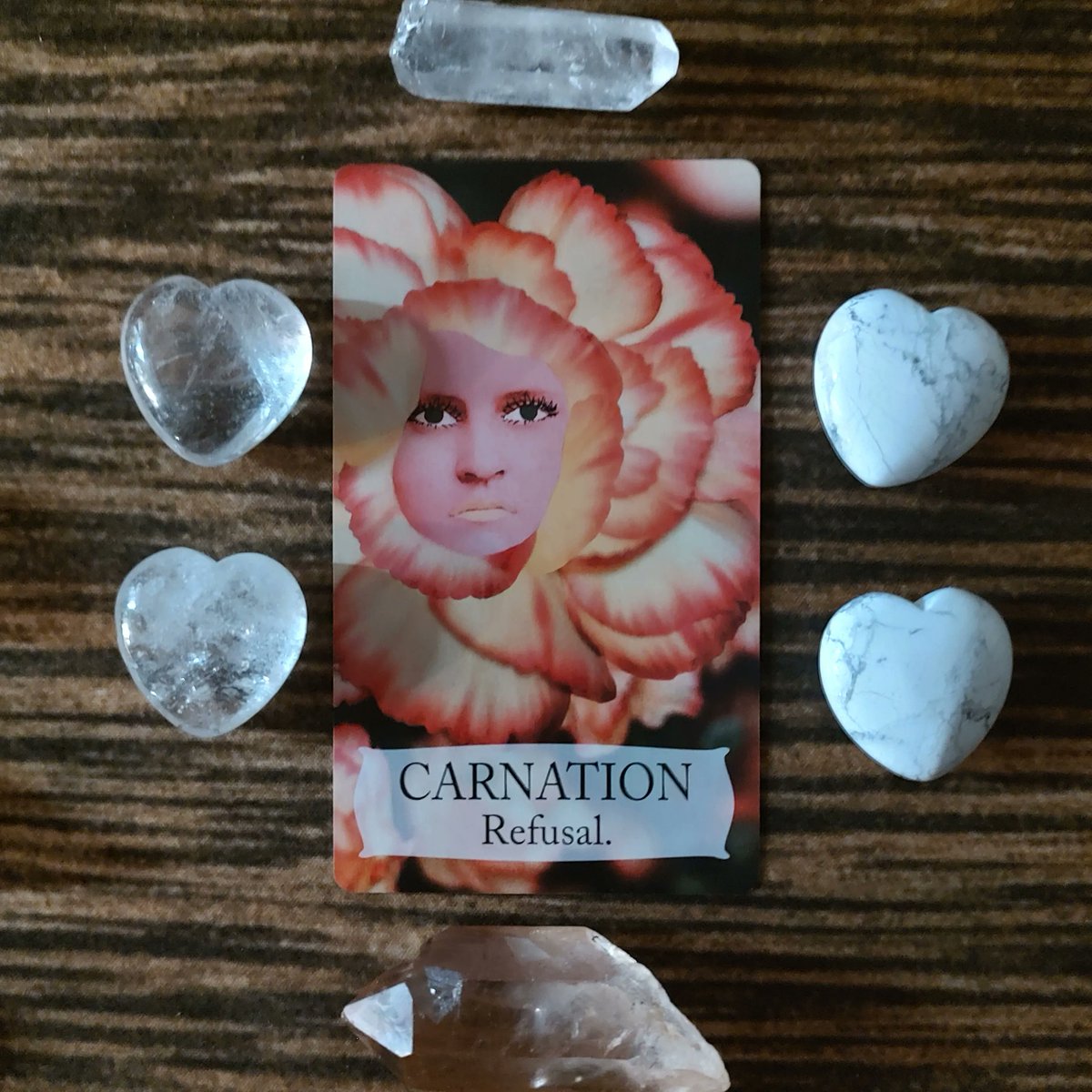 If someone attempts to push on your boundaries, consider whether you need someone that toxic or manipulative in your life. 
buff.ly/3LhSY4k 

#floriography #carnation #oraclecard #oracledeck #flowergoddess #tarot #languageofflowers #botanicaloracle
