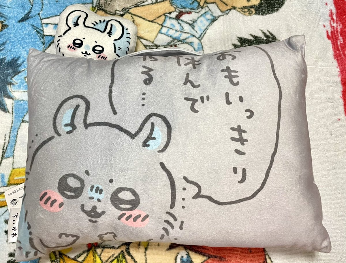 2人目
最高に怠惰なデザインの枕とポケカ5パックとそのポケカを一緒に置いたせいで一瞬にしてデュエリストみが出てしまった🔫くんタペストリー 