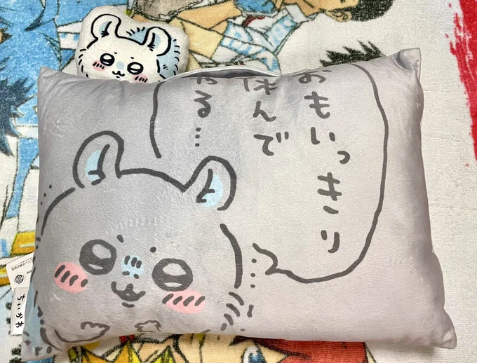 2人目
最高に怠惰なデザインの枕とポケカ5パックとそのポケカを一緒に置いたせいで一瞬にしてデュエリストみが出てしまった🔫くんタペストリー 