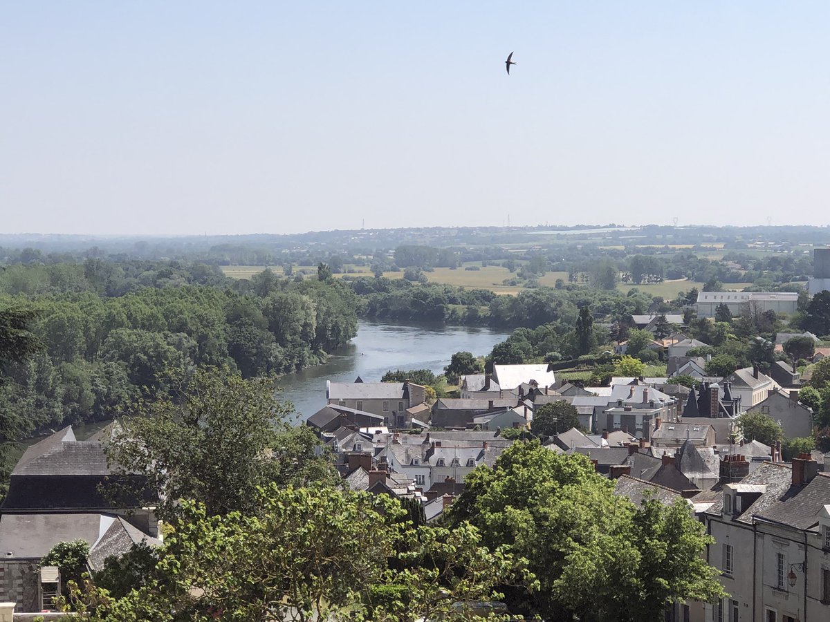 Amanda Favier tweet media