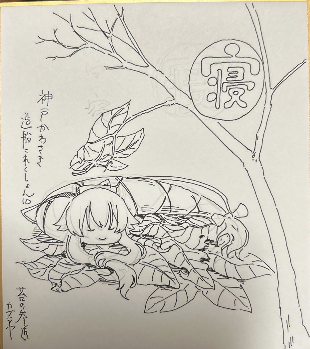 色紙