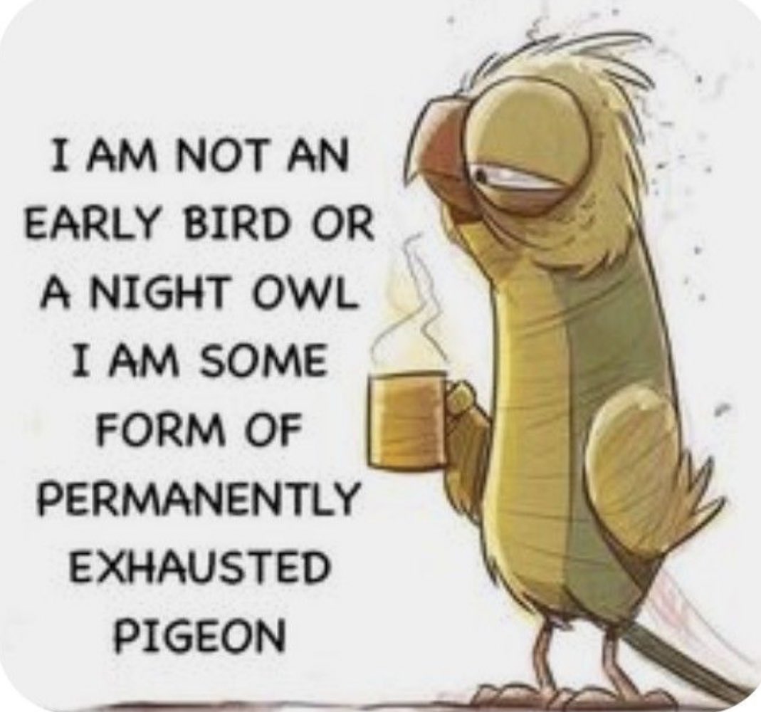 BarstoolBigCat's tweet image. 