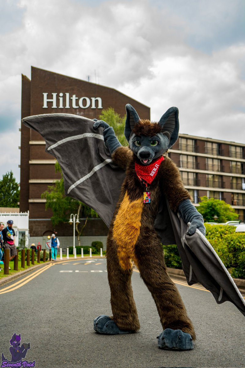 It's the #FursuitFriday after #CFz2023, so that means it's WINGIE TIME! (📷@seventhvoids)