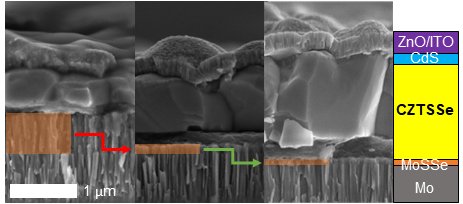 Matthew Naylor tweet media